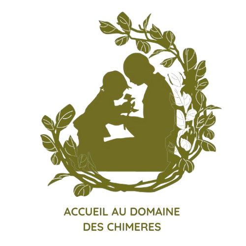 Accueil_au_Domaine_Des_Chimeres-removebg-preview